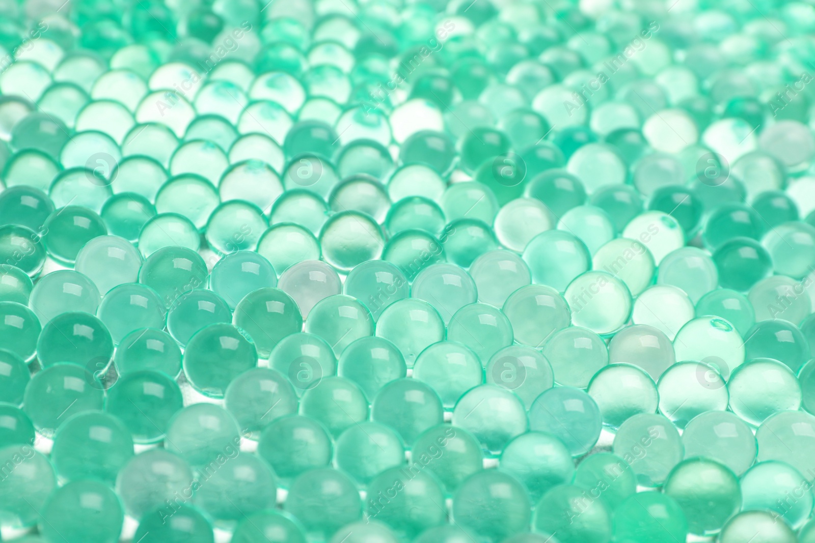 Photo of Closeup view of mint vase filler as background. Water beads