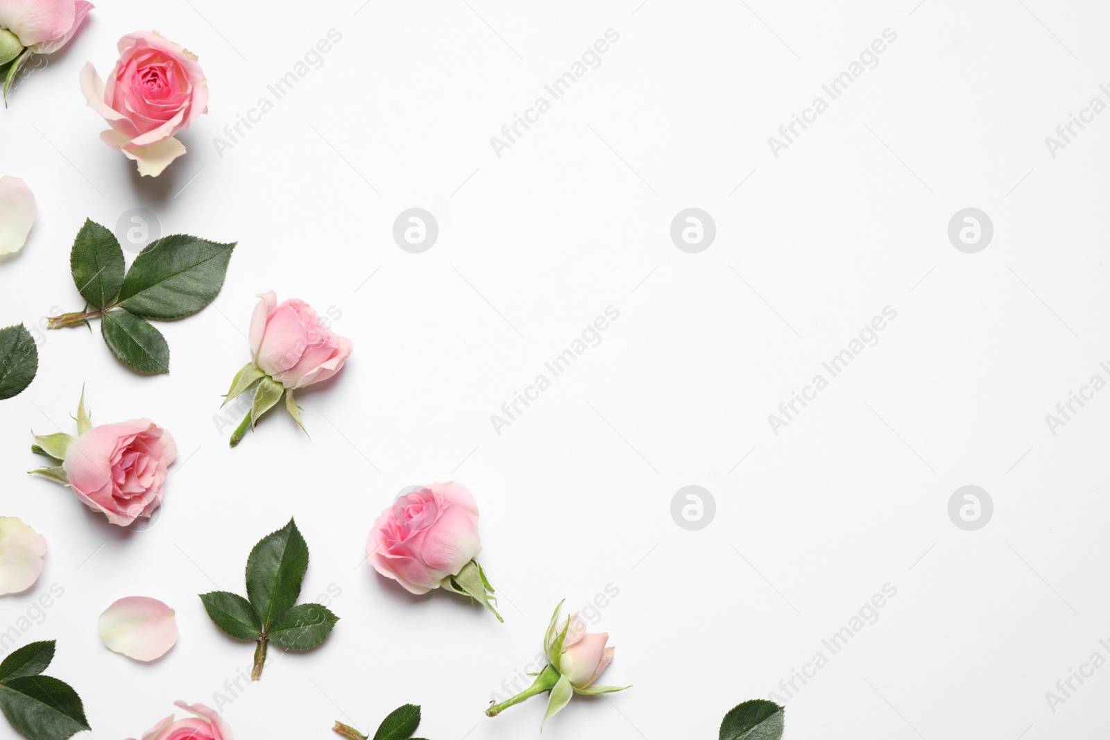 Photo of Composition with beautiful flowers on white background, top view. Floral card design