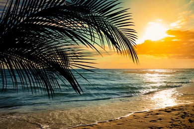 Image of Picturesque view of tropical beach with palm tree at sunset