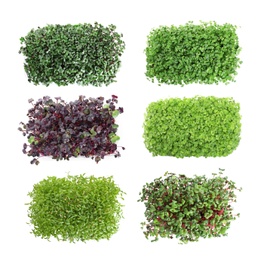 Image of Set of different fresh microgreens on white background, top view