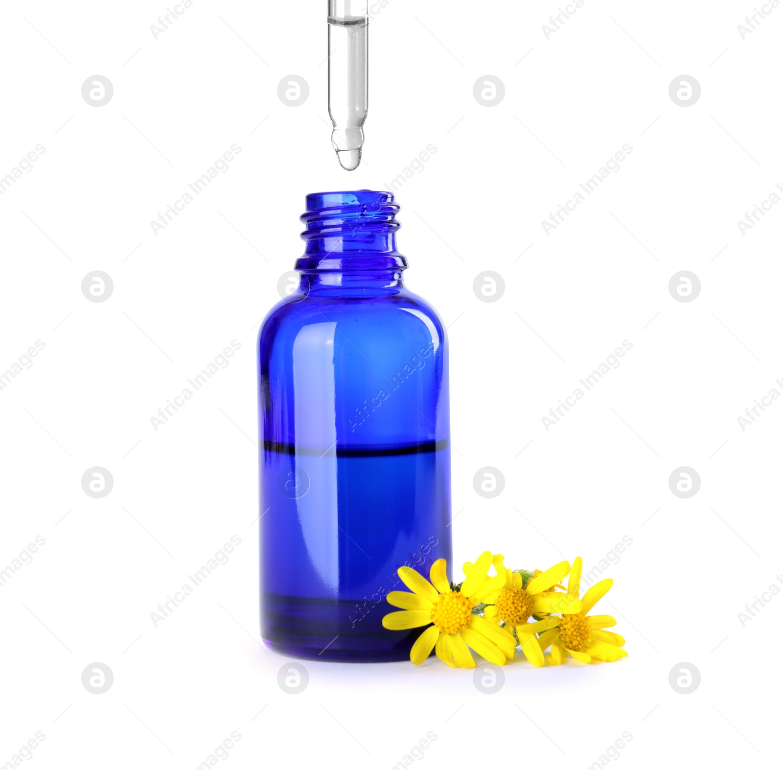 Photo of Dropping herbal essential oil into bottle isolated on white