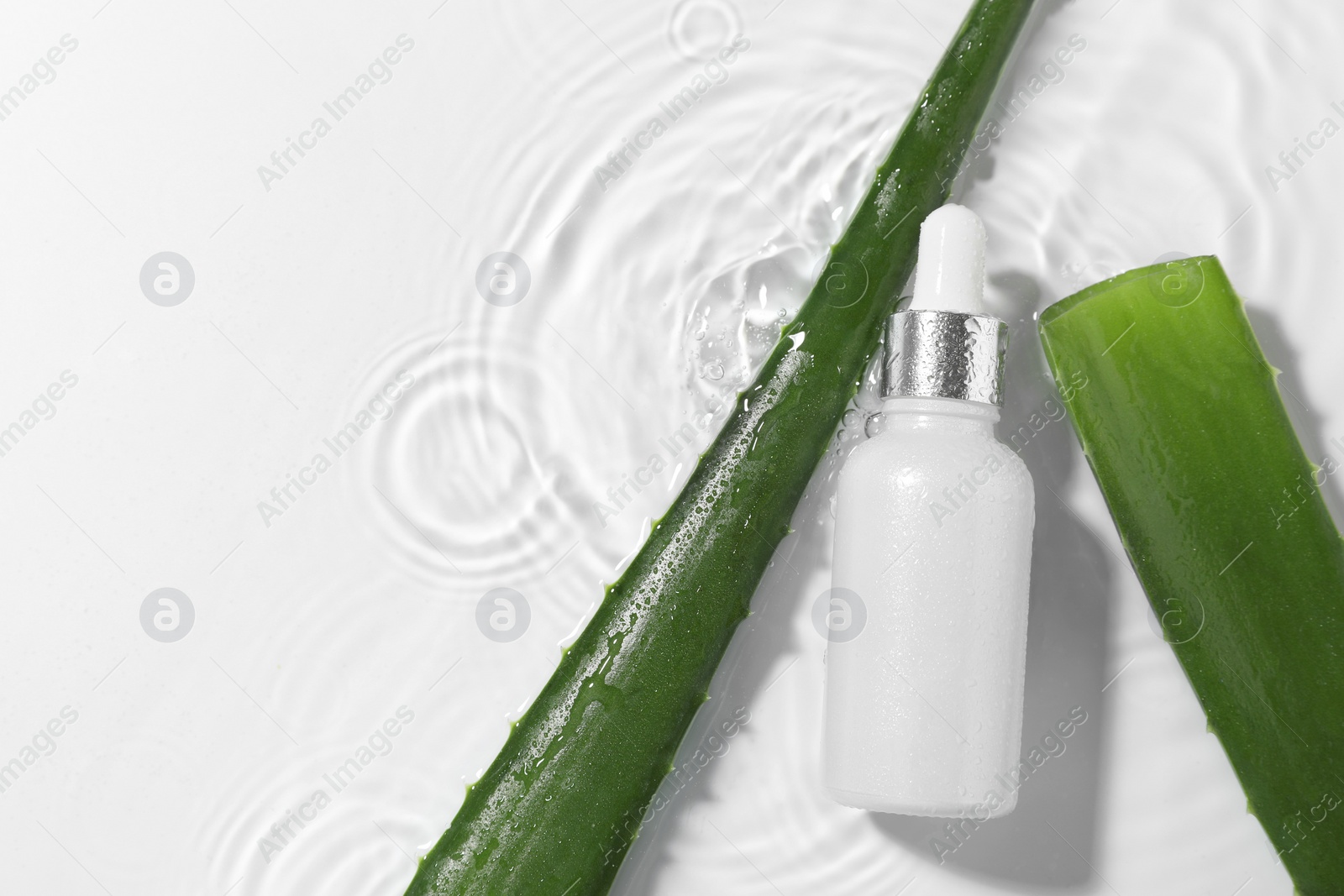 Photo of Bottle of cosmetic product and aloe leaves in water on white background, flat lay. Space for text