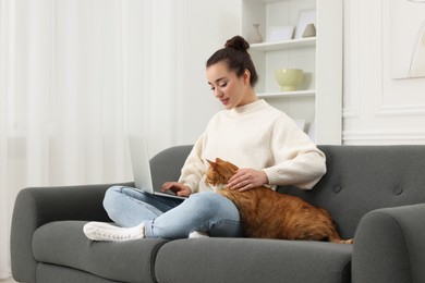 Photo of Beautiful woman working with laptop and petting cute cat on sofa at home