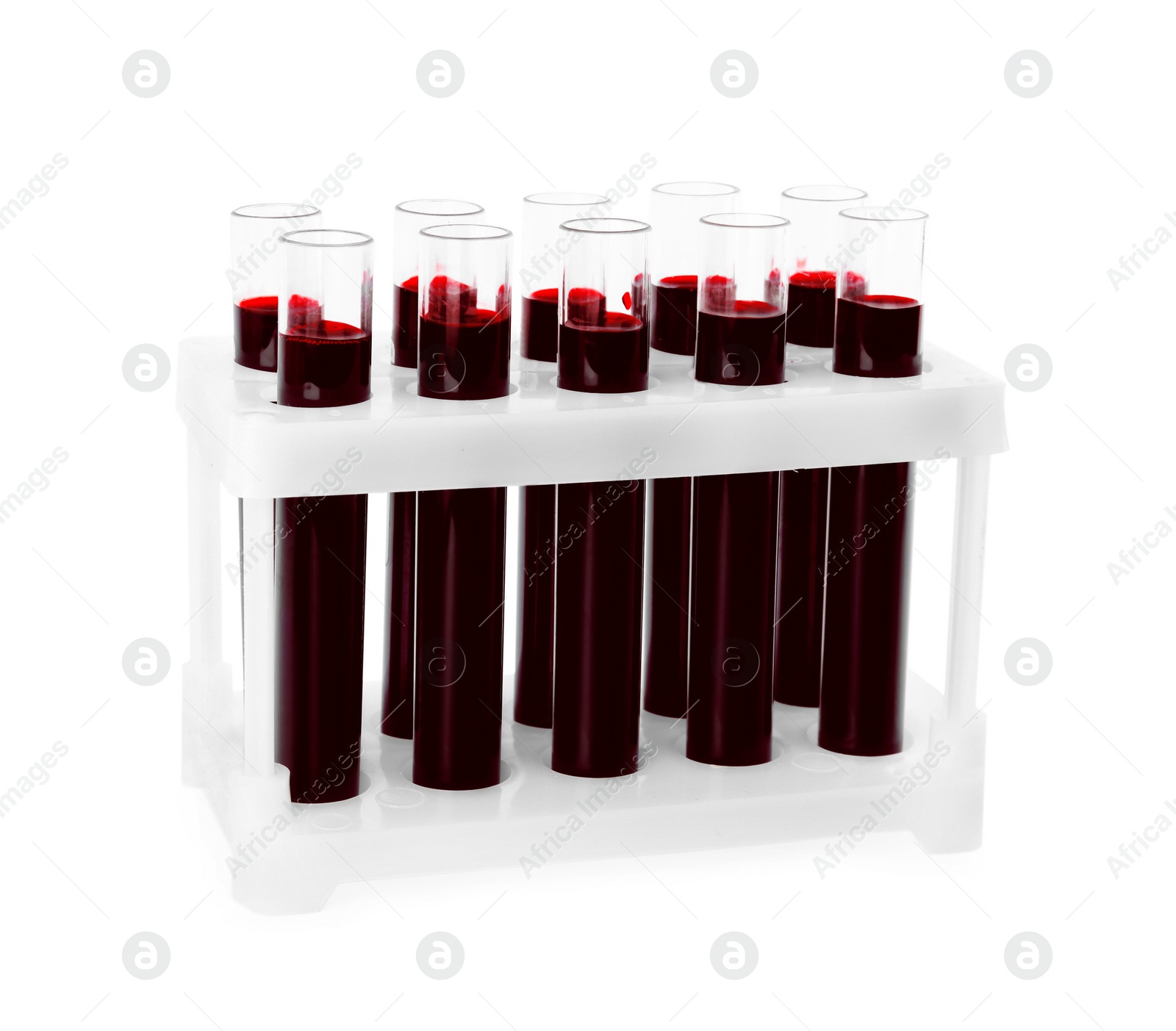 Image of Test tubes with blood samples in rack on white background. Laboratory analysis