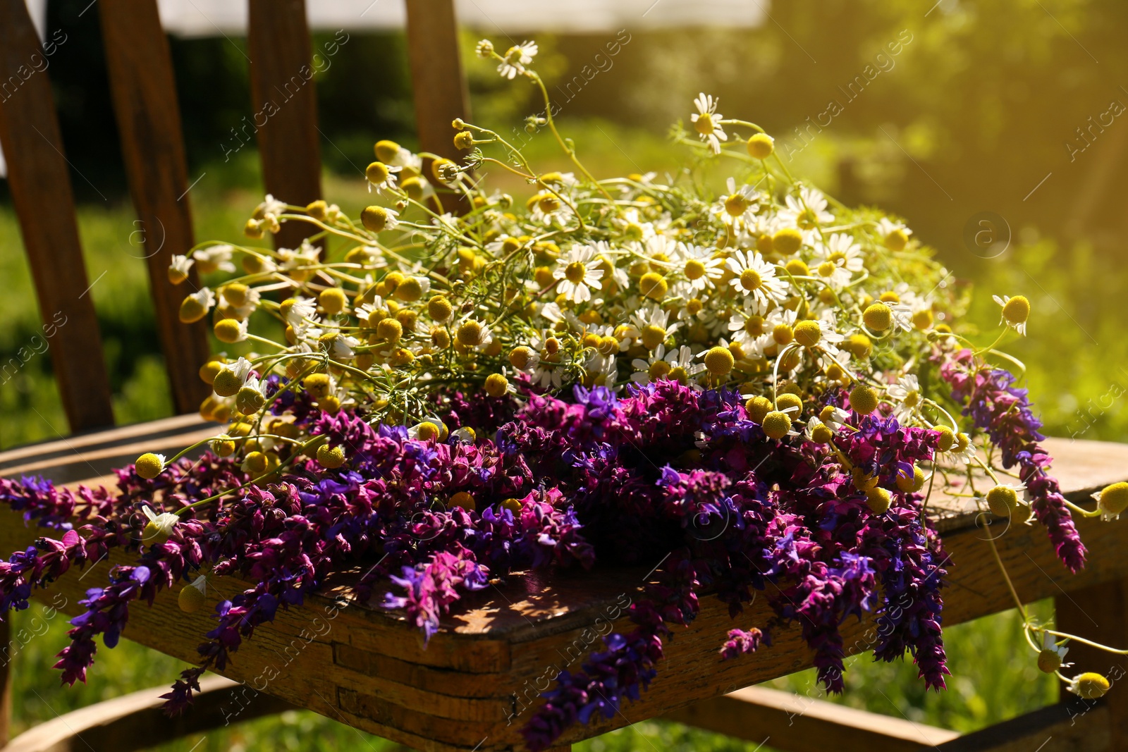 Photo of Beautiful bouquet with field flowers on chair outdoors, closeup