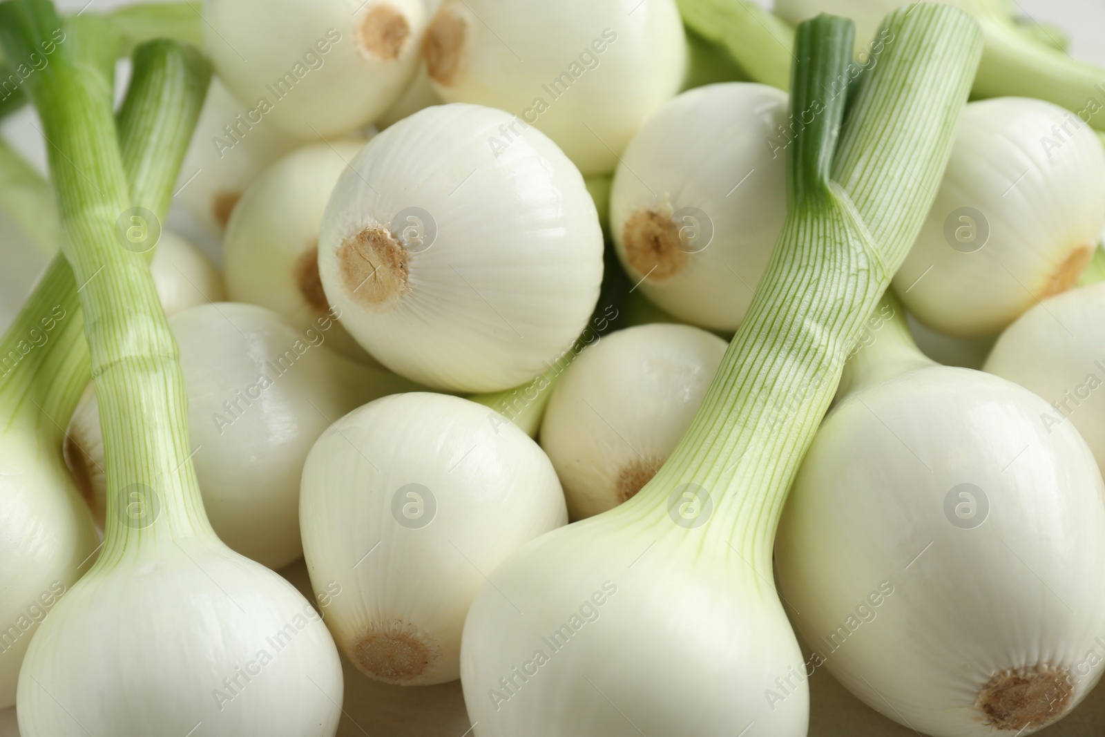 Photo of Whole green spring onions as background, closeup