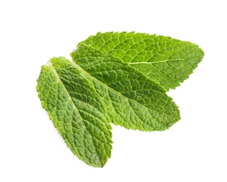 Fresh green mint leaves on white background