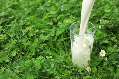 Photo of Pouring fresh milk into glass on green grass outdoors, space for text