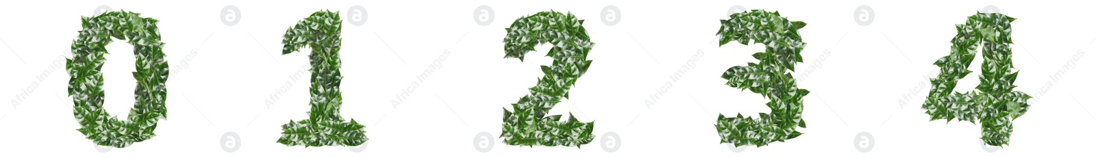 Image of Numbers made of fresh green leaves on white background. Banner design