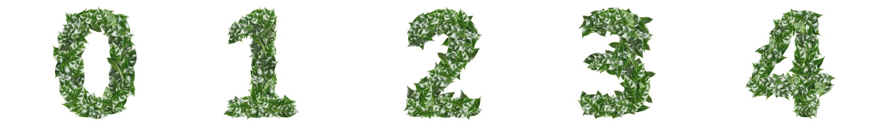 Image of Numbers made of fresh green leaves on white background. Banner design