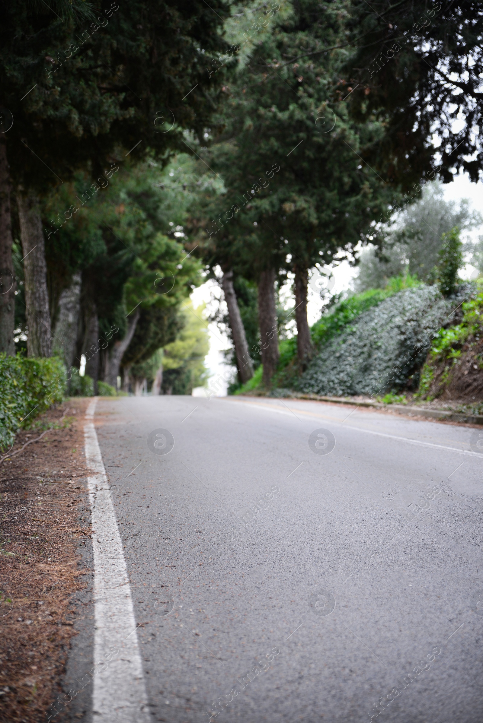 Photo of Beautiful view of asphalt road in city