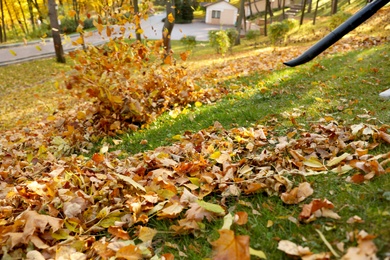 Removing autumn leaves with blower from lawn in park