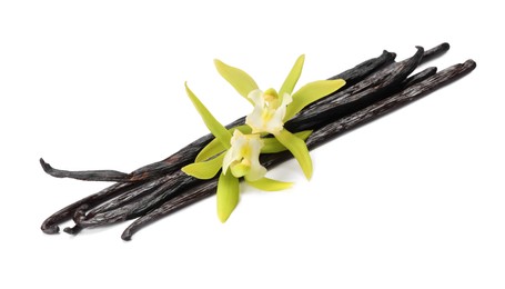 Photo of Vanilla pods and beautiful flowers isolated on white