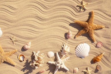 Photo of Starfishes and seashells on beach sand with wave pattern, flat lay. Space for text