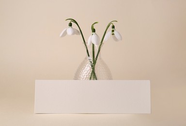 Photo of Beautiful snowdrops and paper card on beige background. Space for text
