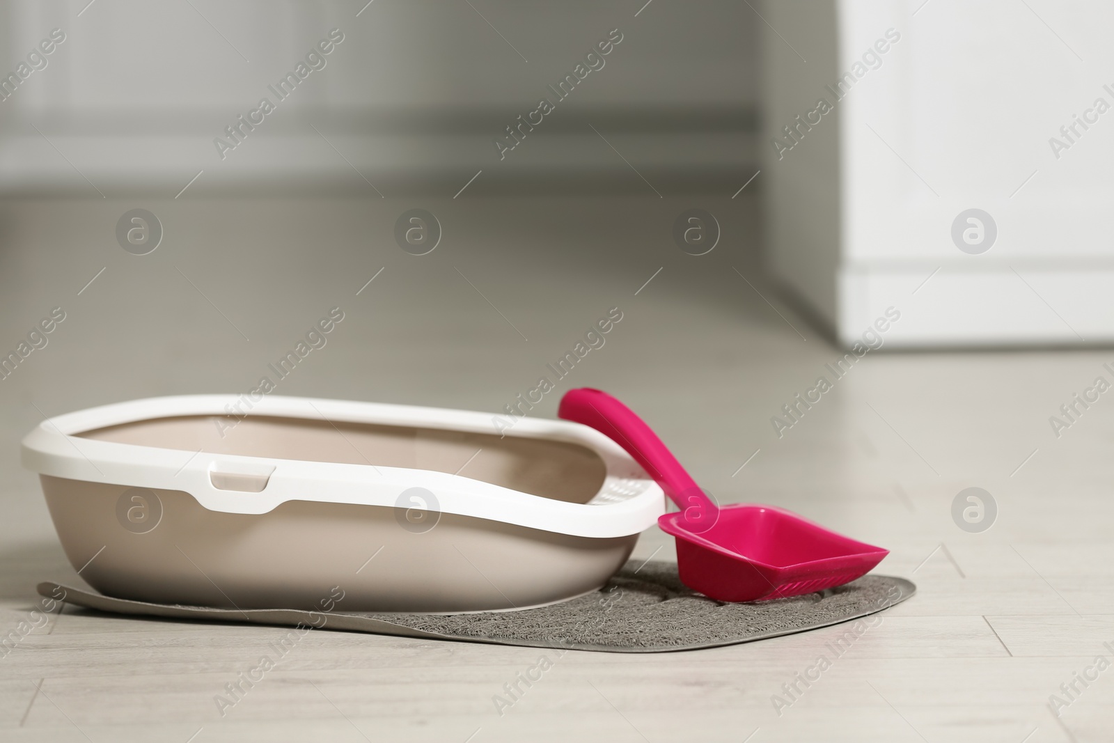 Photo of Cat litter tray and scoop on floor in room. Space for text