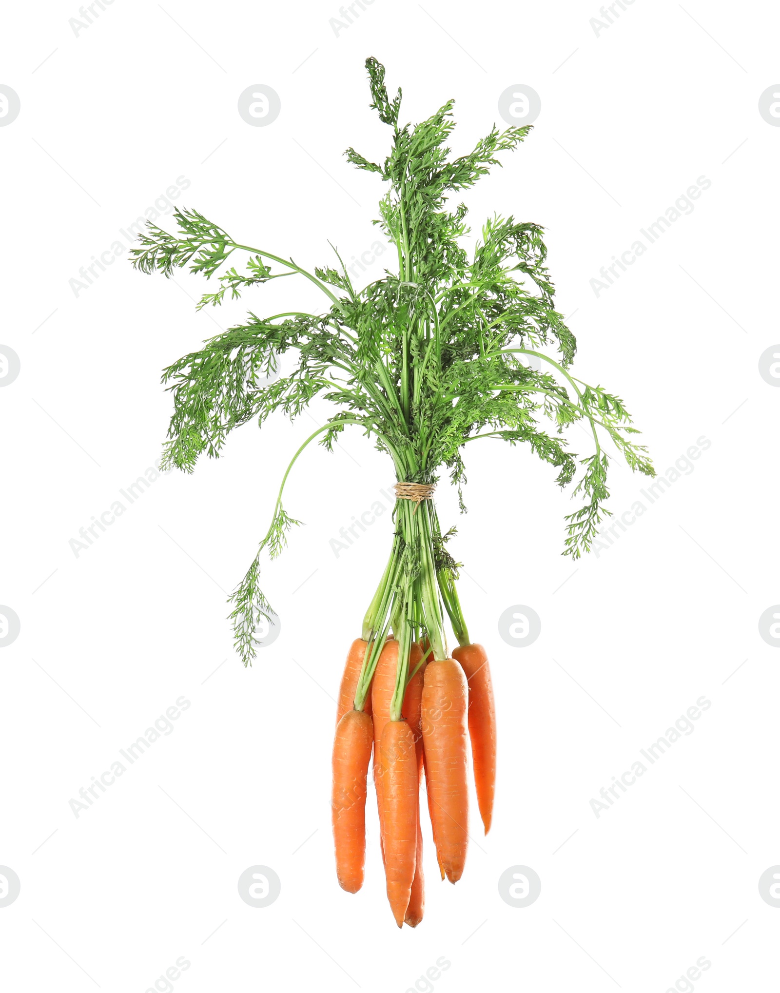 Photo of Ripe carrots on white background. Healthy diet