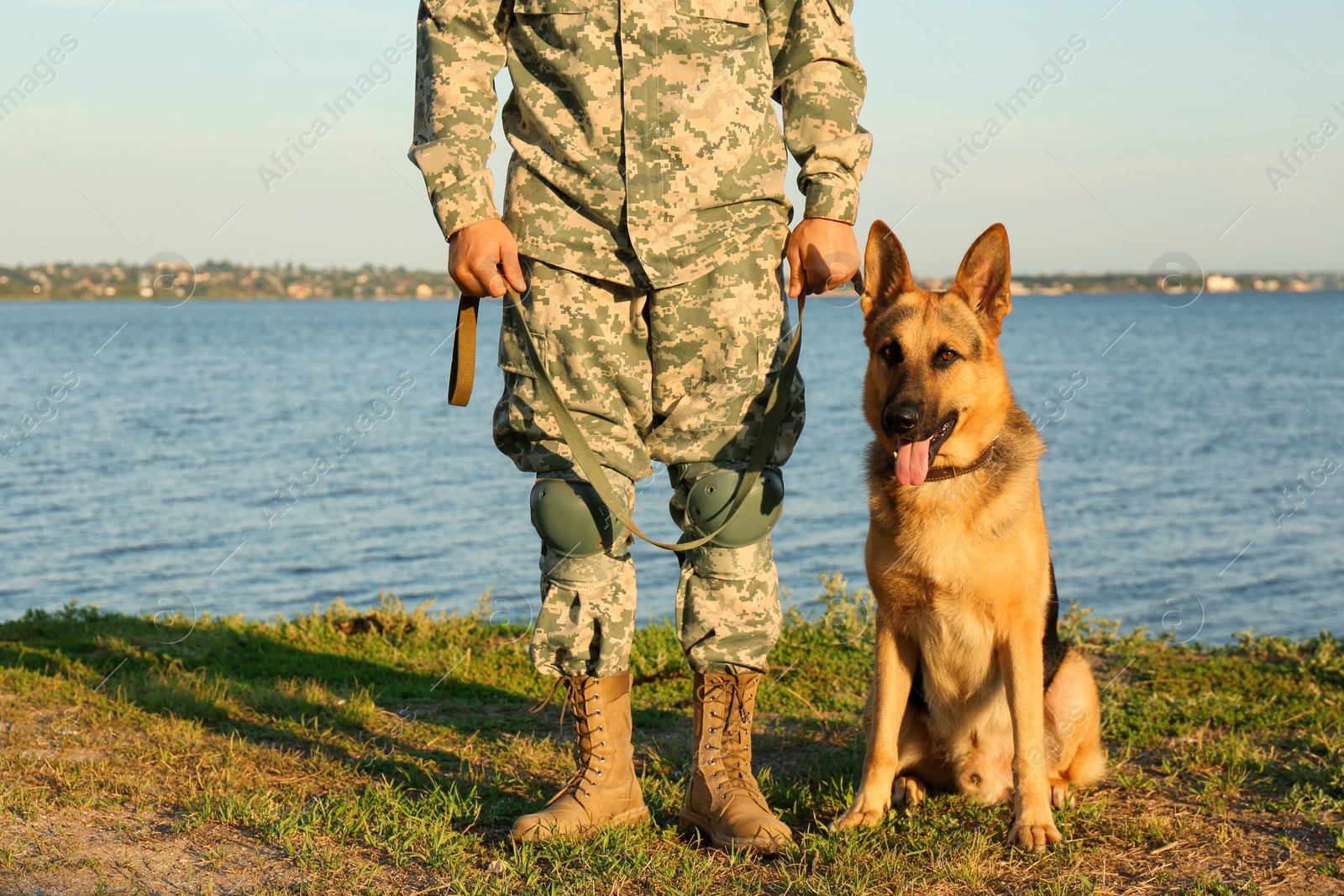 Photo of Man in military uniform with German shepherd dog outdoors, closeup