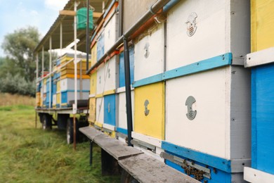 Many colorful bee hives at apiary outdoors, closeup