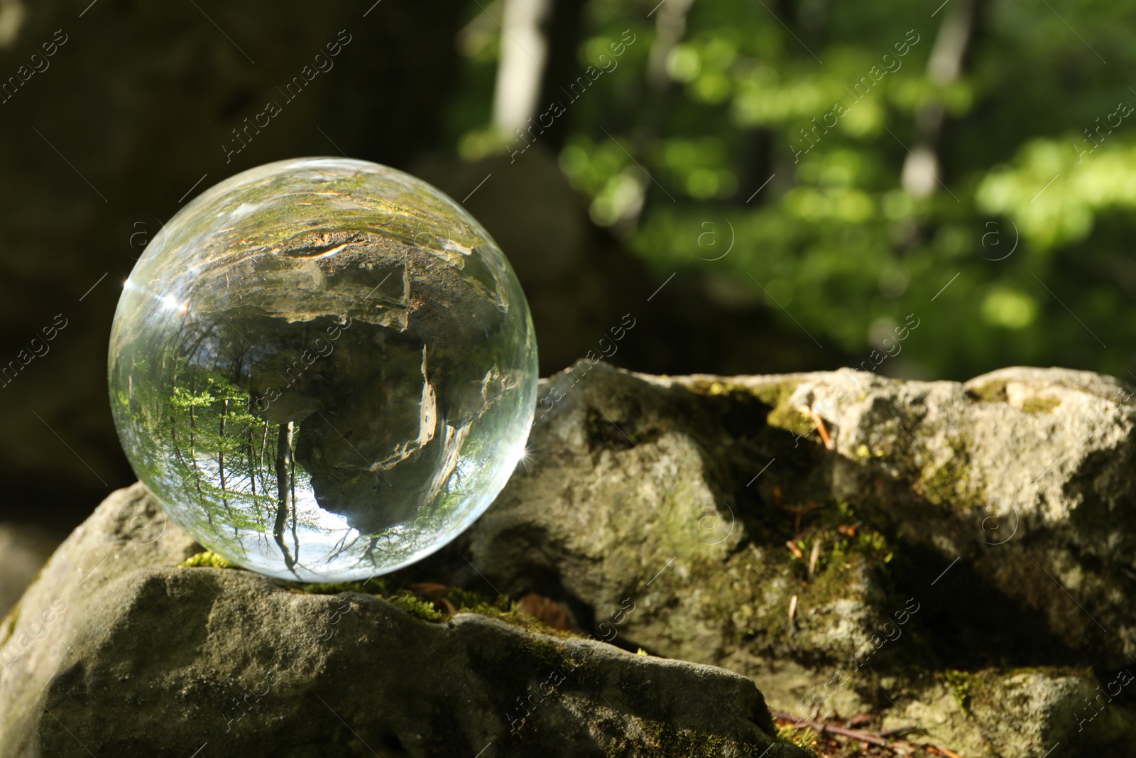 Photo of Beautiful forest with green trees, overturned reflection. Crystal ball on stone outdoors