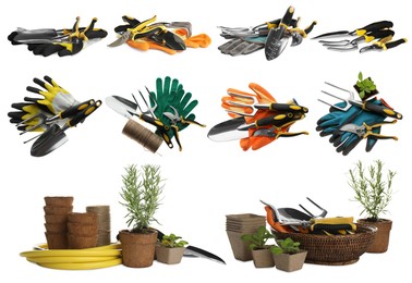 Set of different gardening tools on white background