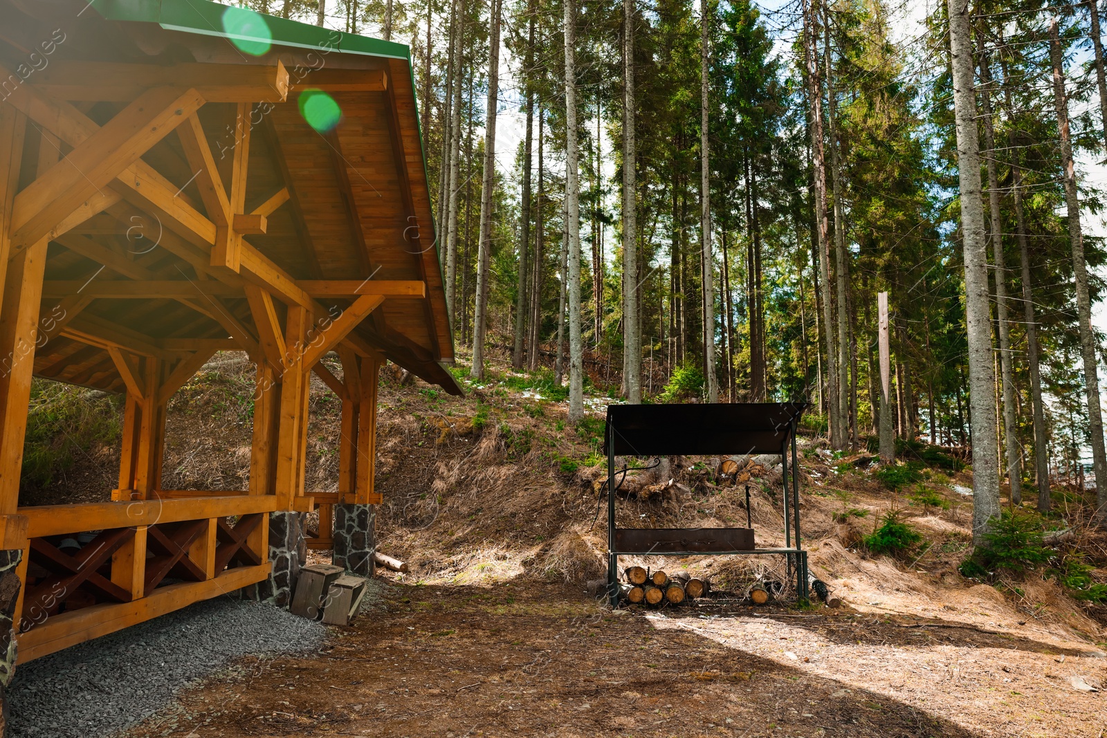 Photo of Metal barbecue with stacked firewood and wooden gazebo near forest on sunny day