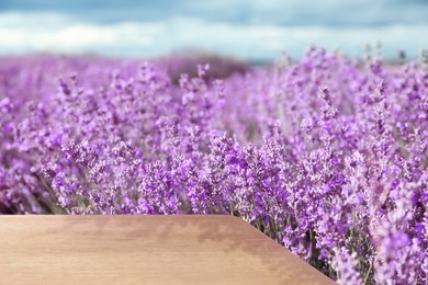 Empty wooden surface in field with beautiful blooming lavender on sunny day