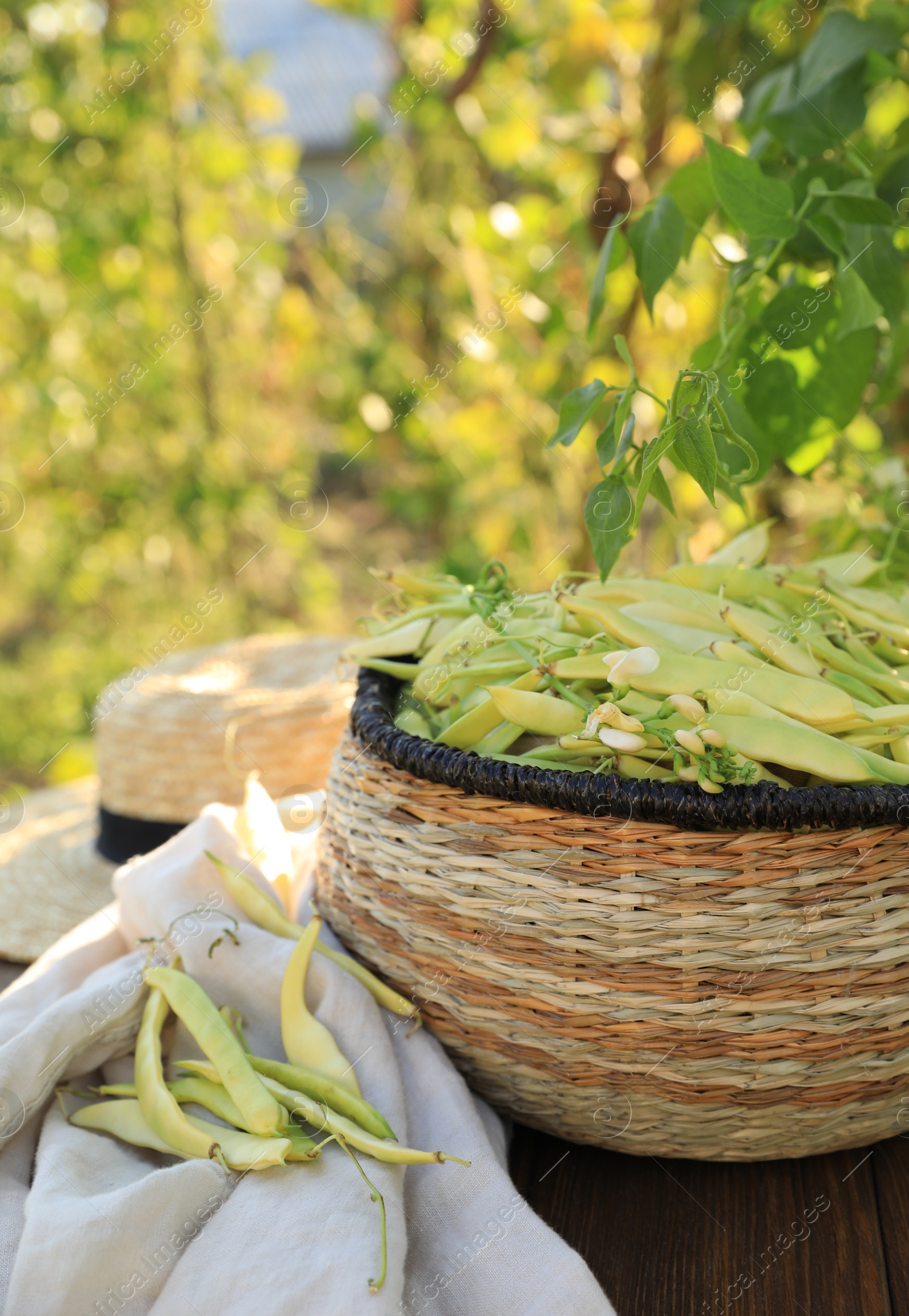 Photo of Wicker basket with fresh green beans on wooden table in garden