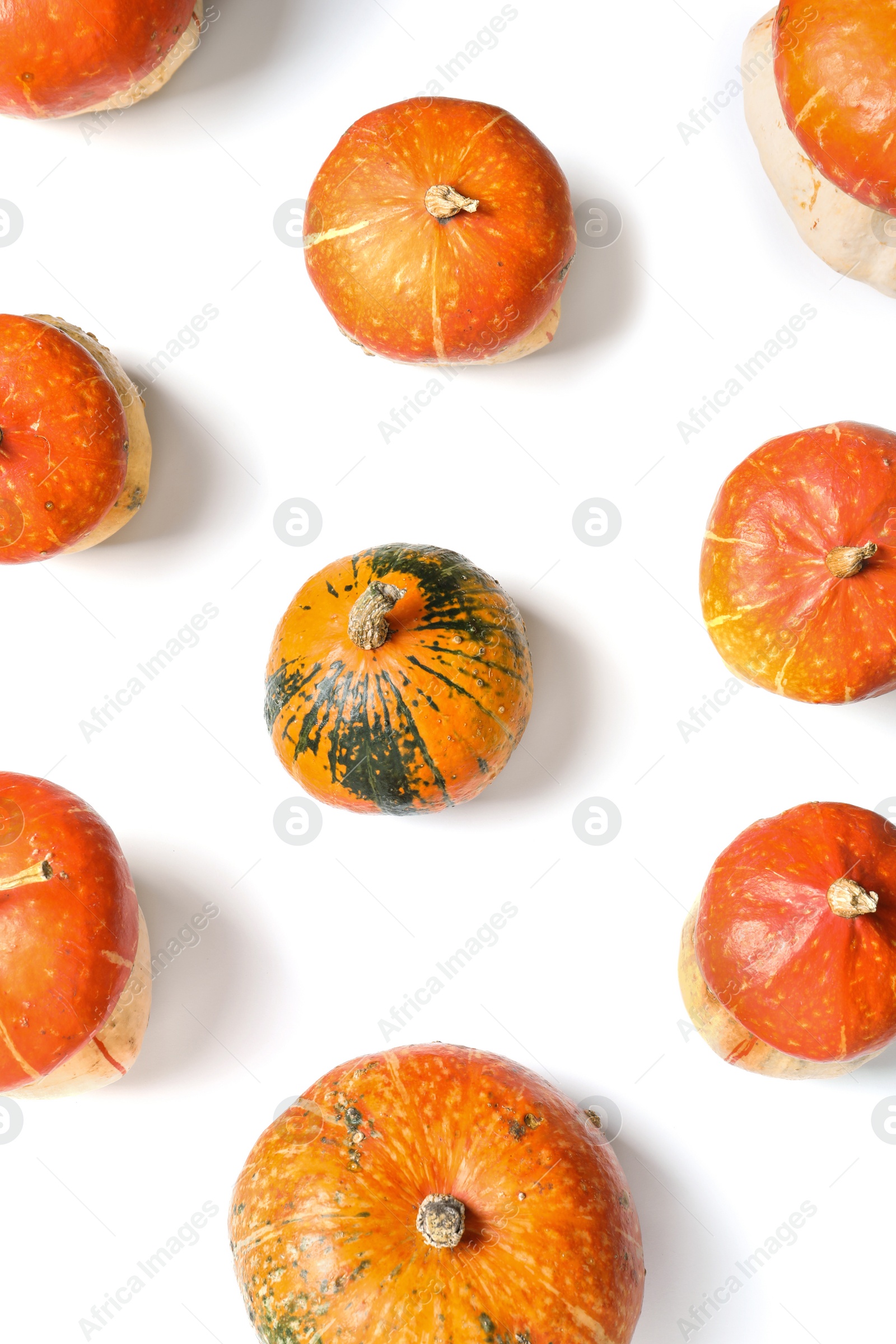 Photo of Flat lay composition with orange pumpkins on white background. Autumn holidays