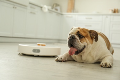 Photo of Robotic vacuum cleaner and adorable dog on floor in kitchen