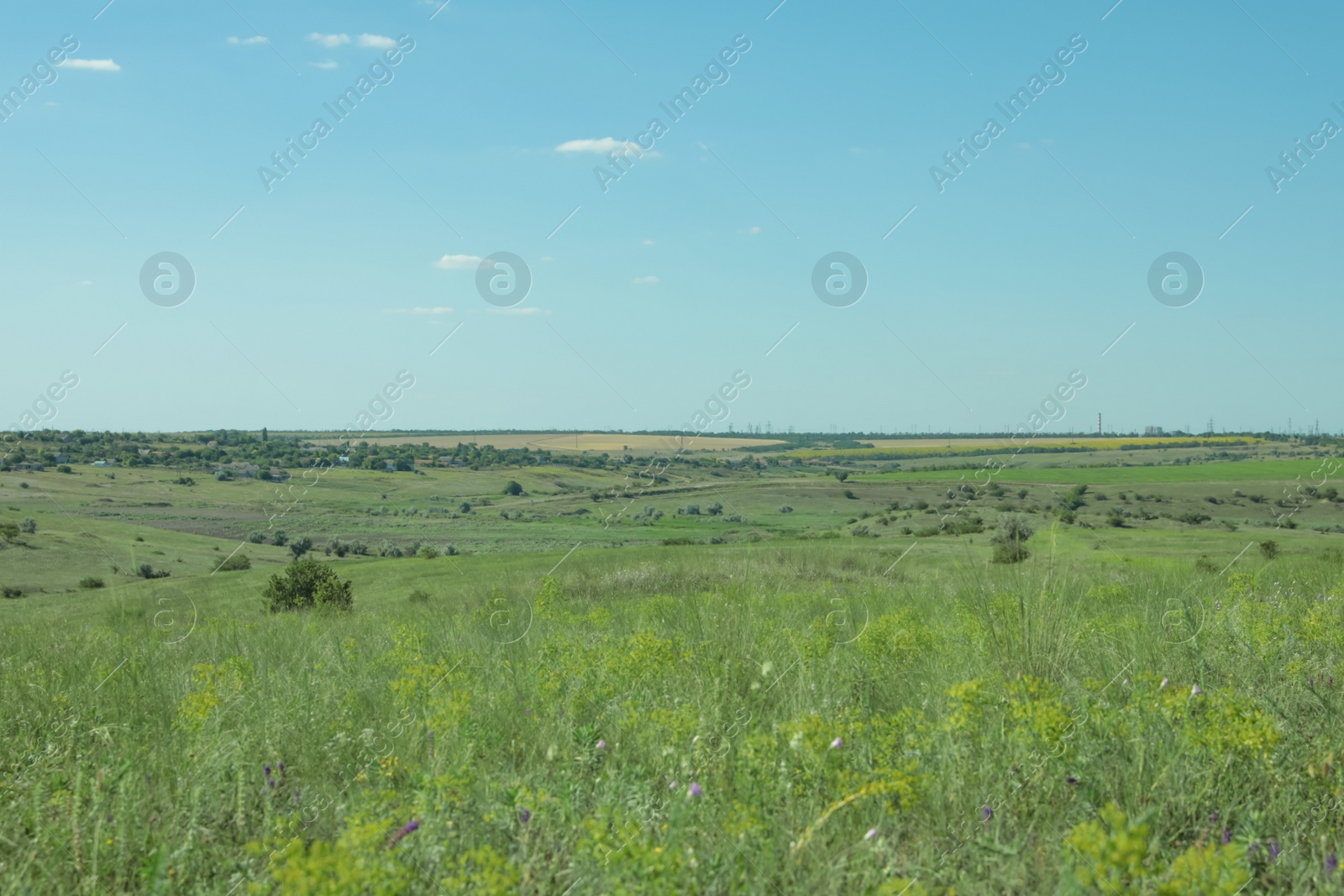 Photo of Beautiful landscape with green grass on sunny day