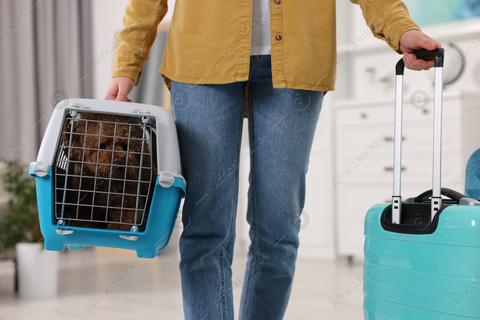 Photo of Travel with pet. Woman holding carrier with dog and suitcase at home, closeup