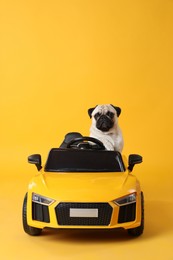 Photo of Adorable pug dog in toy car on yellow background