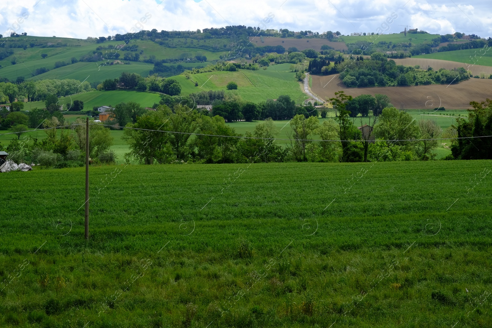 Photo of Beautiful landscape with green pasture on hill