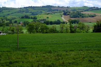 Beautiful landscape with green pasture on hill