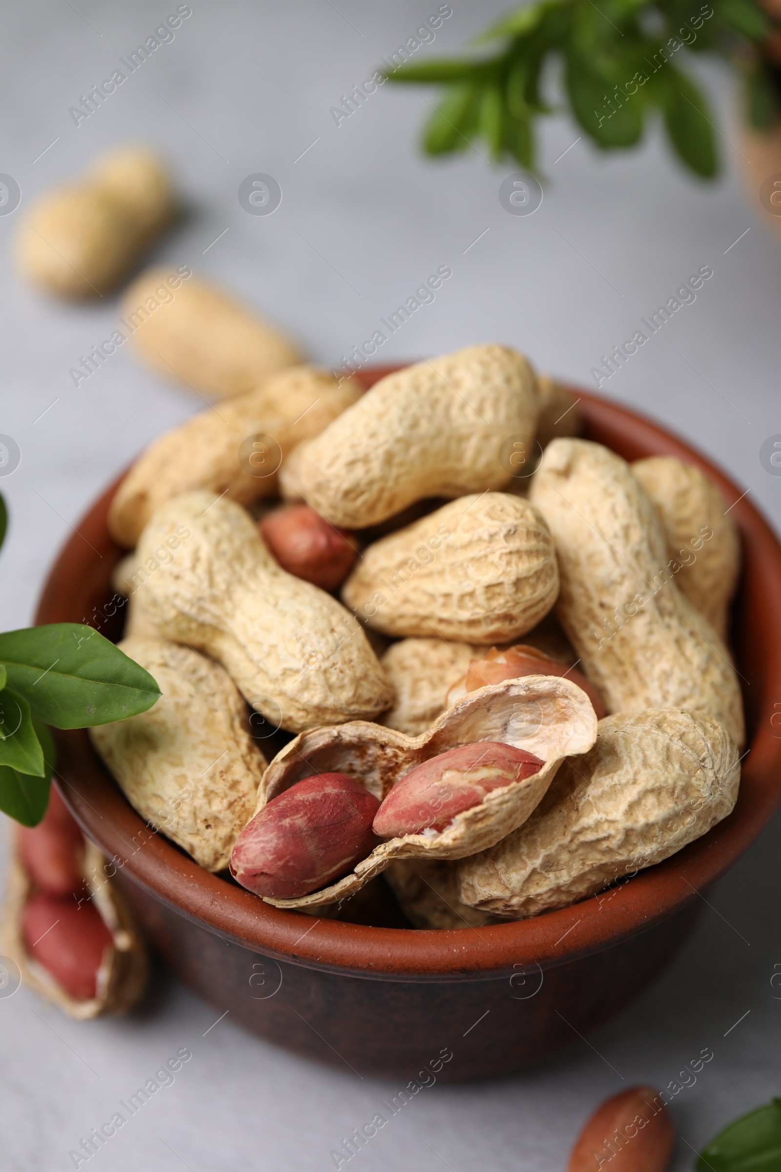 Photo of Fresh unpeeled peanuts in bowl and leaves on grey table, closeup