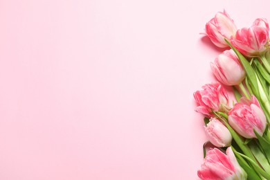 Photo of Beautiful colorful tulip flowers on pink background, top view. Space for text