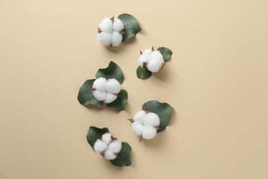 Cotton flowers and eucalyptus leaves on beige background, flat lay