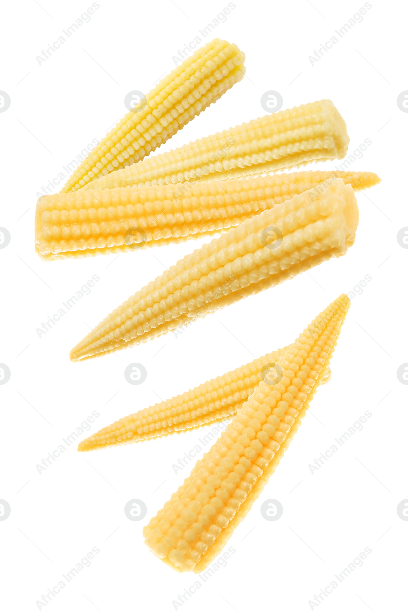 Image of Tasty baby corn cobs flying on white background