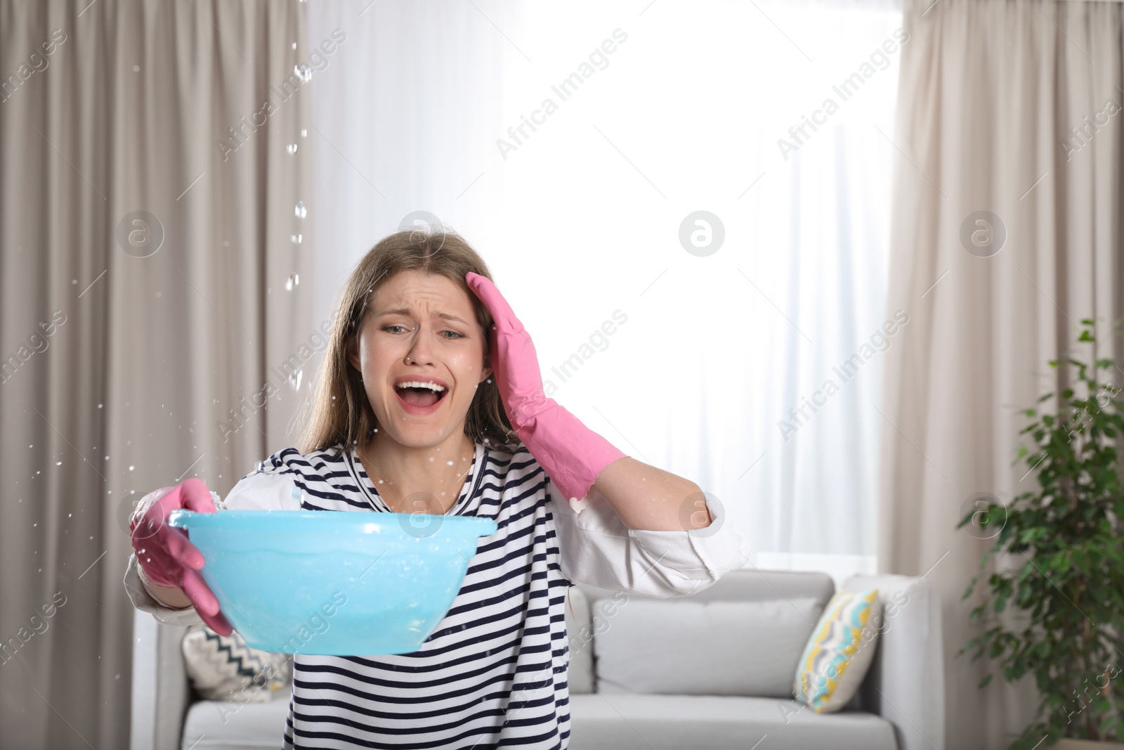 Photo of Emotional young woman collecting water leaking from ceiling in living room. Plumber service