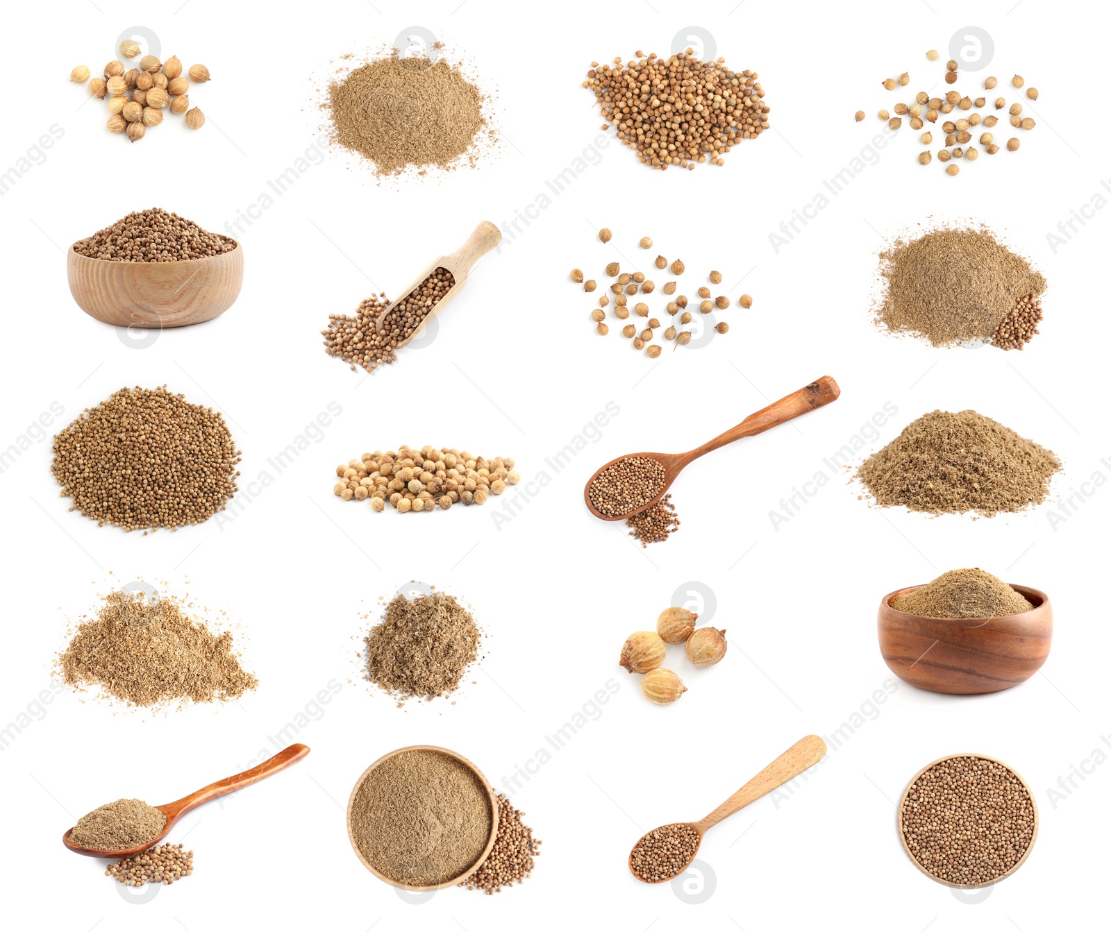 Image of Set with coriander seeds and powder on white background