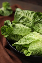 Photo of Fresh green romaine lettuces in bowl, closeup