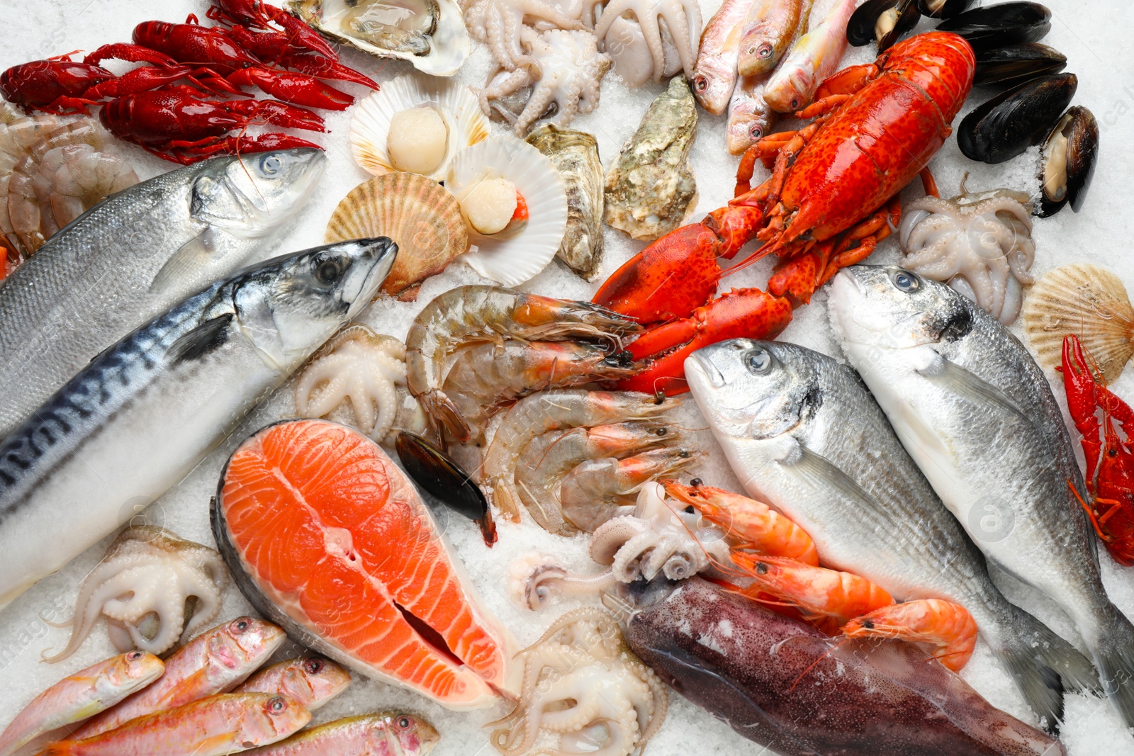 Photo of Fresh fish and seafood on ice, flat lay