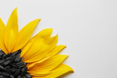 Flat lay composition with petals and sunflower seeds on white background. Space for text