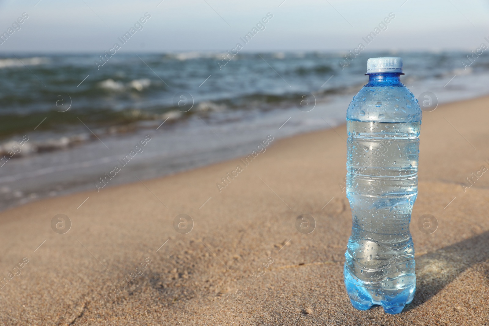 Photo of Plastic bottle of fresh water on wet sand near sea. Space for text