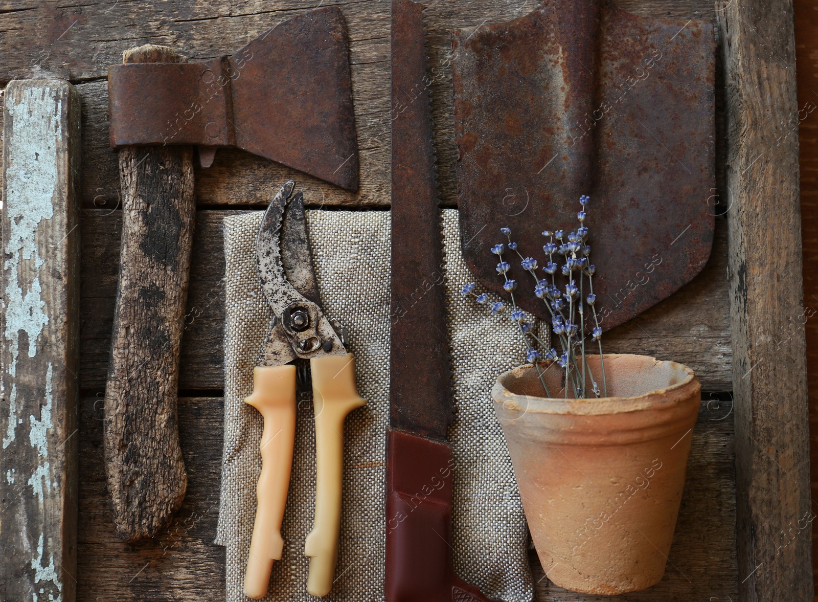 Photo of Flat lay composition with old secateurs and other gardening tools on wooden table