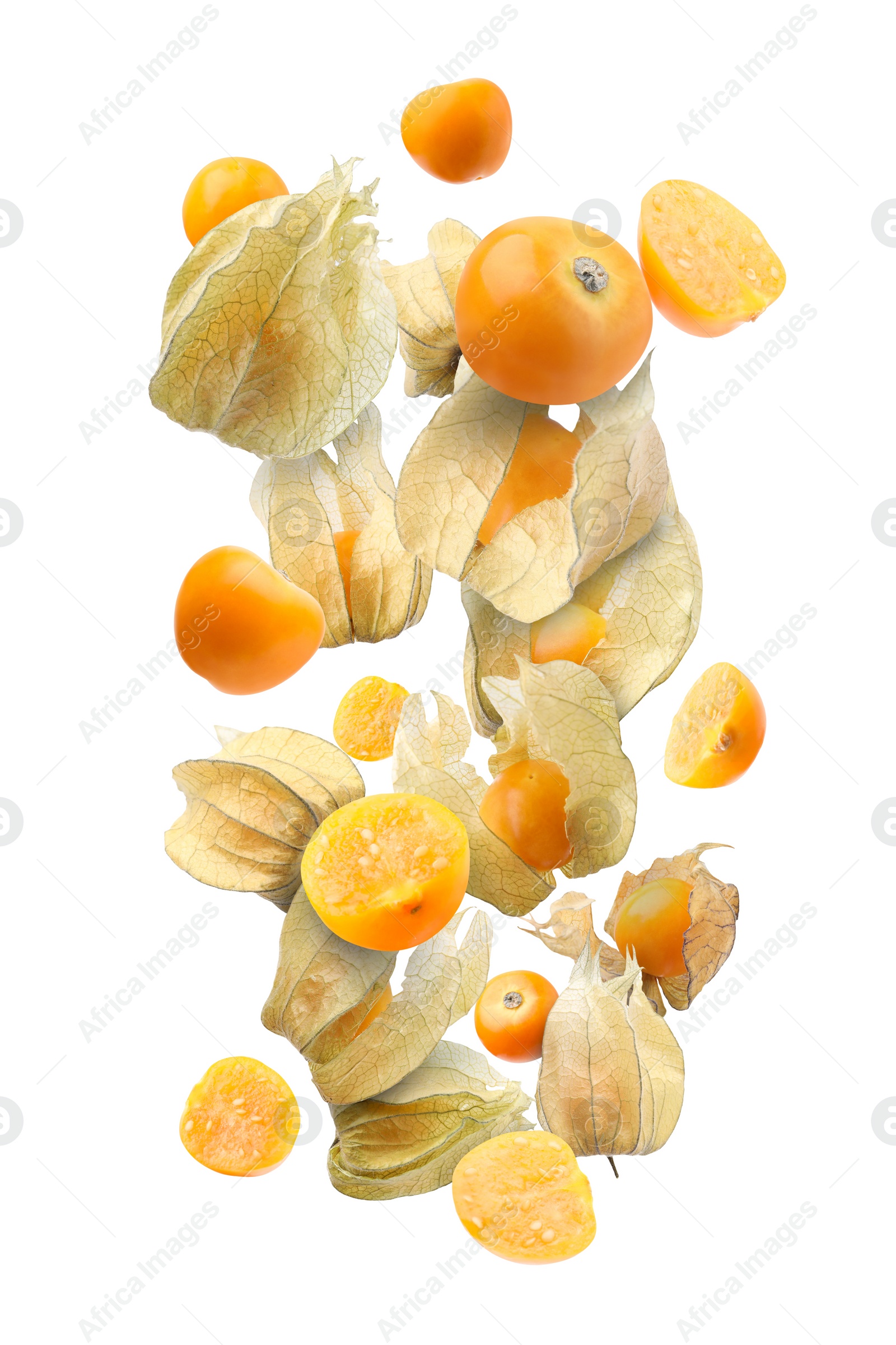 Image of Ripe orange physalis fruits with calyx falling on white background