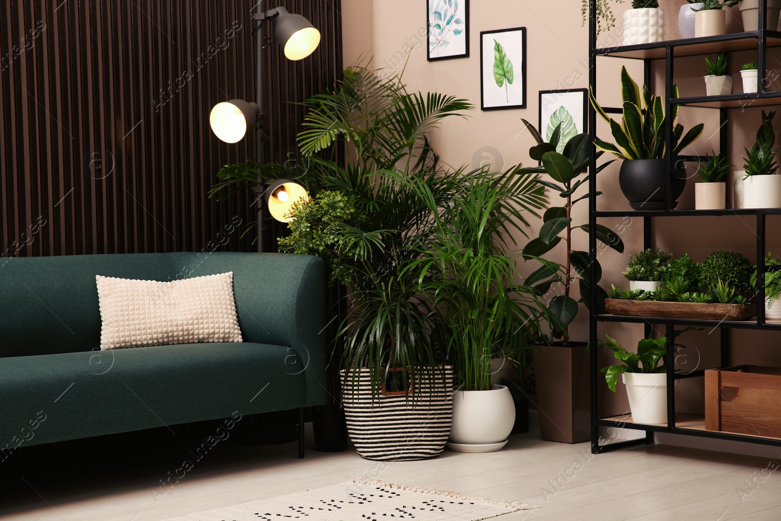 Photo of Stylish living room interior with many beautiful houseplants