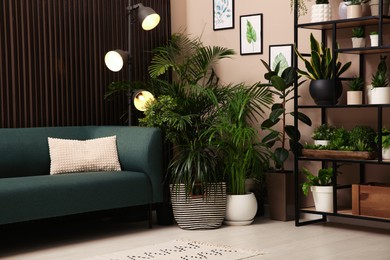 Stylish living room interior with many beautiful houseplants