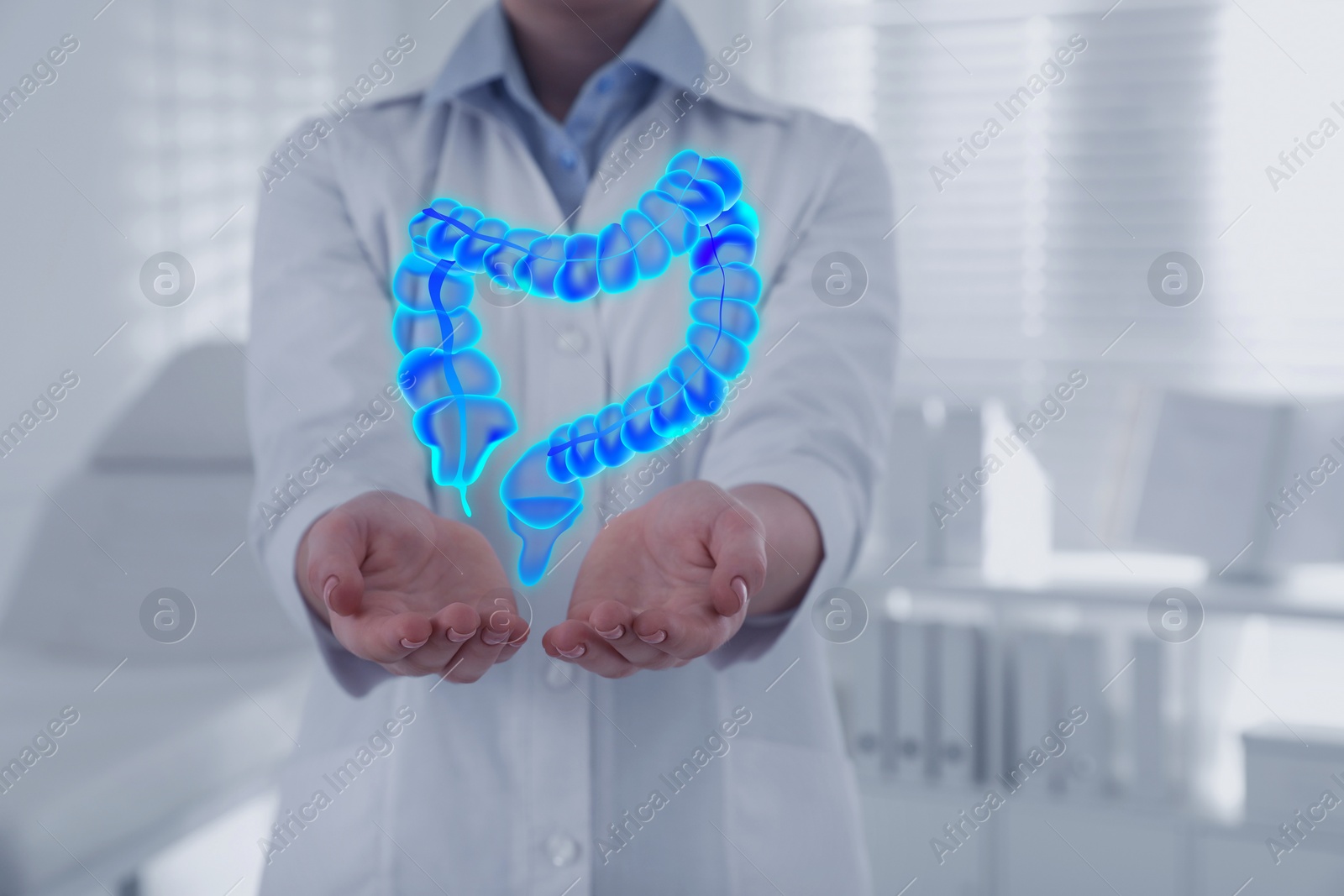 Image of Gastroenterologist holding illustration of large intestine in clinic, closeup